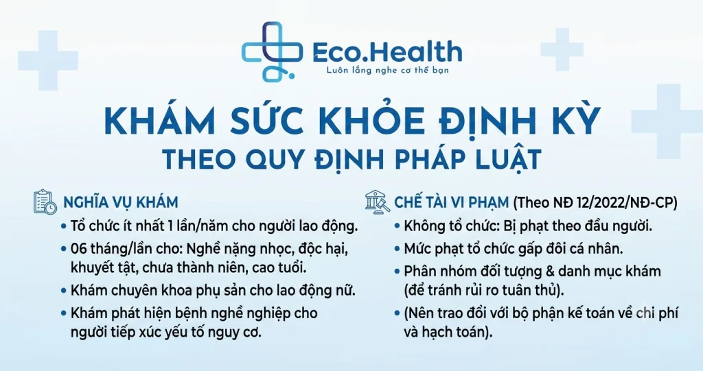 Doanh nghiệp có bắt buộc khám sức khỏe định kỳ cho người lao động không? Quy định và mức phạt mới nhất