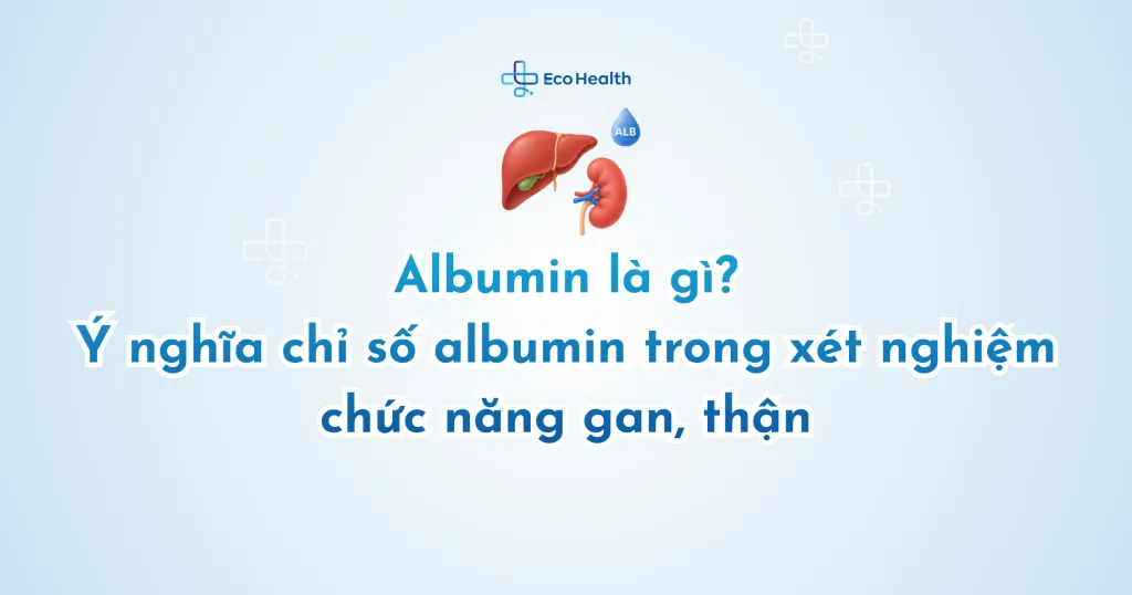 Albumin là gì? Ý nghĩa chỉ số albumin trong xét nghiệm chức năng gan, thận