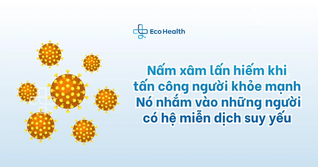 Nhiễm nấm xâm lấn và nhóm thuốc kháng nấm “để dành”: Vì sao không thể tự ý dùng