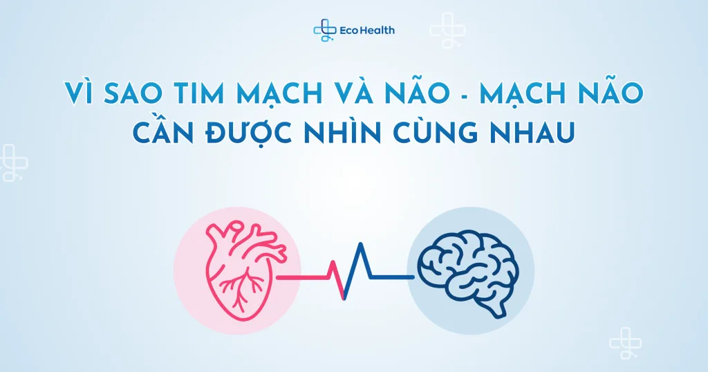 Vì sao tim mạch và não – mạch não cần được nhìn cùng nhau
