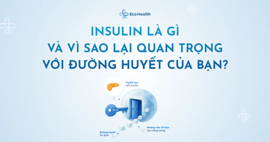 Insulin là gì và vì sao lại quan trọng với đường huyết của bạn?