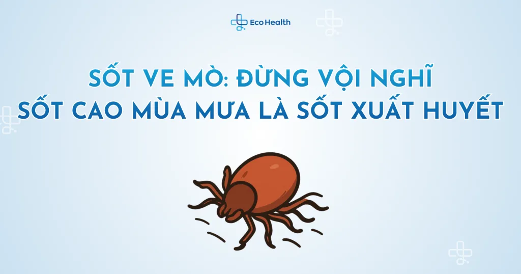 Sốt ve mò: Đừng vội nghĩ sốt cao mùa mưa là sốt xuất huyết