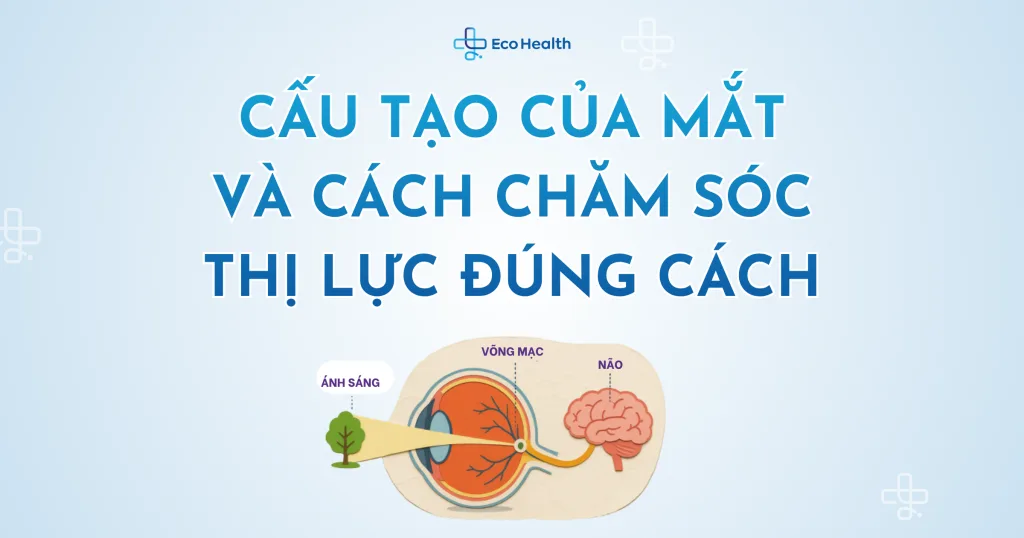 Cấu tạo của mắt và cách chăm sóc thị lực đúng cách