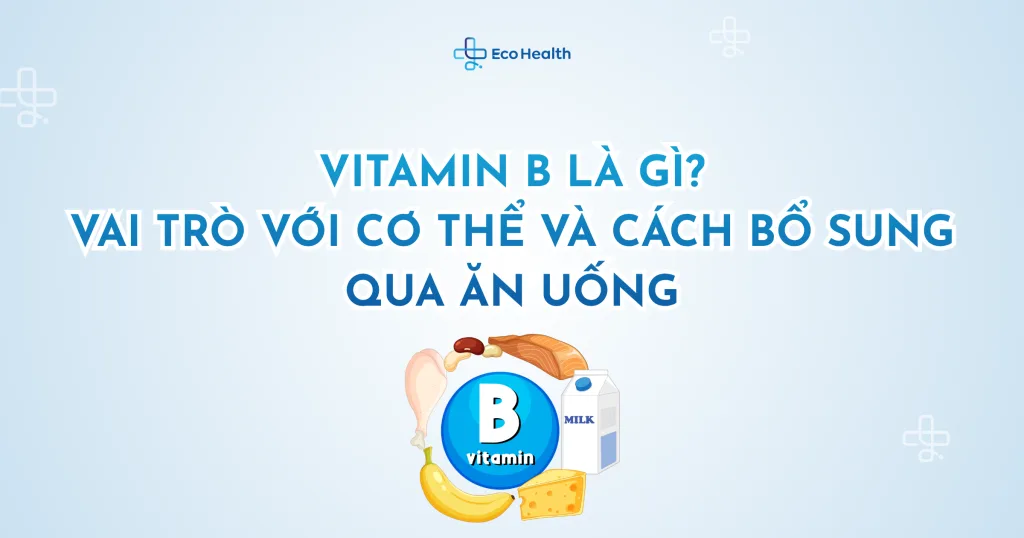 Vitamin B là gì? Vai trò với cơ thể và cách bổ sung qua ăn uống