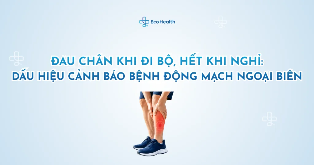 Đau chân khi đi bộ, hết khi nghỉ: dấu hiệu cảnh báo bệnh động mạch ngoại biên