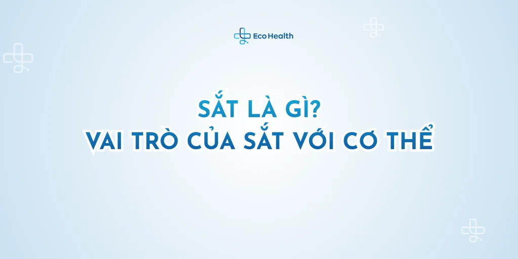 Sắt là gì? Vai trò của sắt với cơ thể