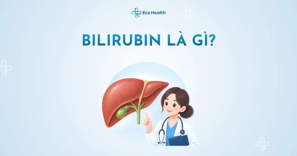Bilirubin là gì và vì sao chỉ số này lại quan trọng với gan – mật?