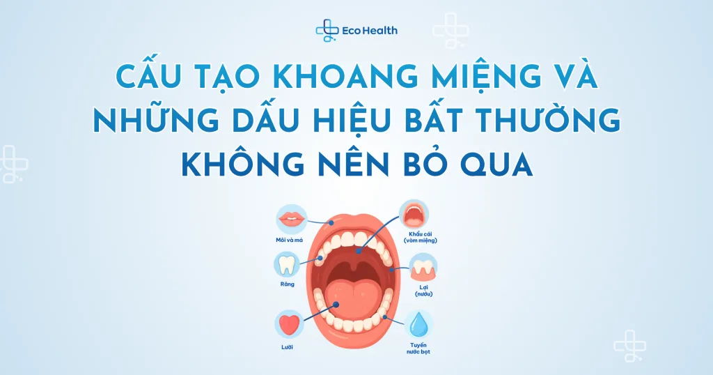 Cấu tạo khoang miệng và những dấu hiệu bất thường không nên bỏ qua