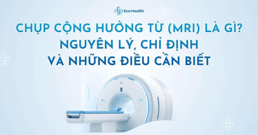 Chụp cộng hưởng từ (MRI) là gì? Nguyên lý, chỉ định và những điều cần biết