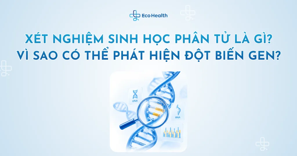 Xét nghiệm sinh học phân tử là gì? Vì sao có thể phát hiện đột biến gen?