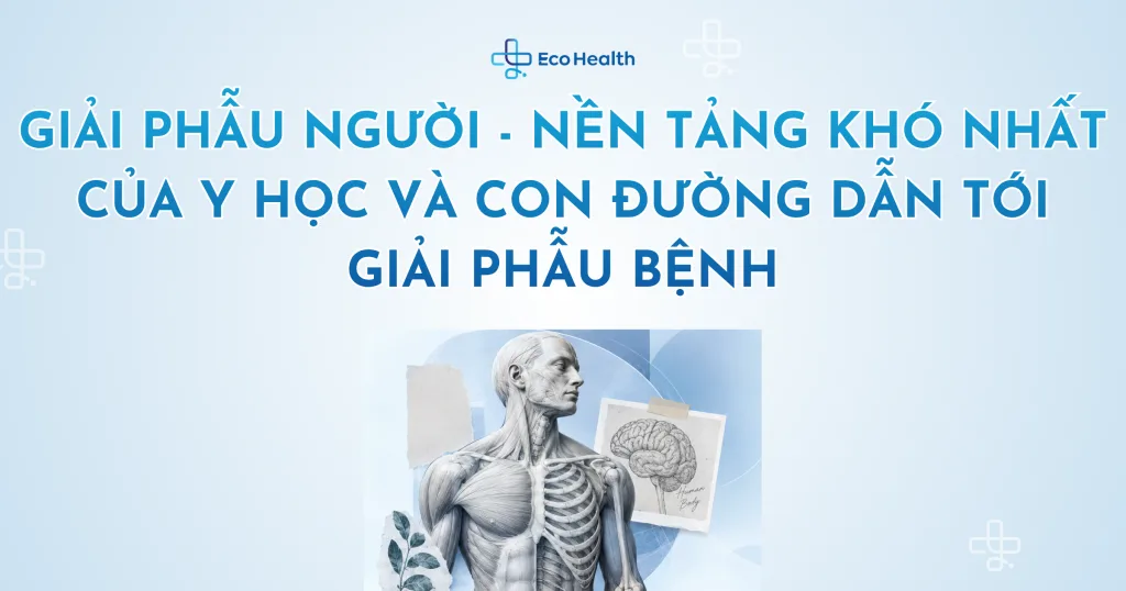 Giải phẫu người – nền tảng khó nhất của y học và con đường dẫn tới giải phẫu bệnh