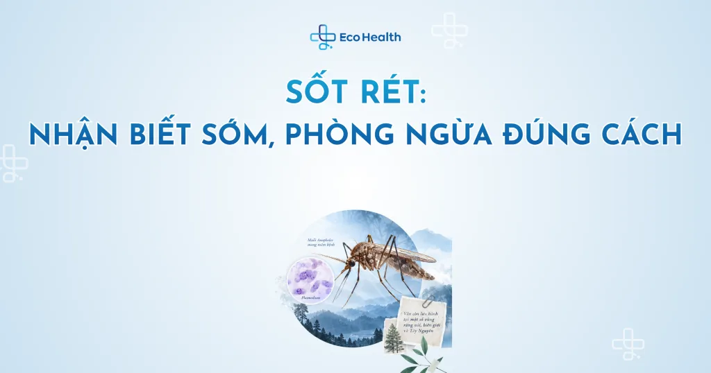 Sốt rét: nhận biết sớm, phòng ngừa đúng cách