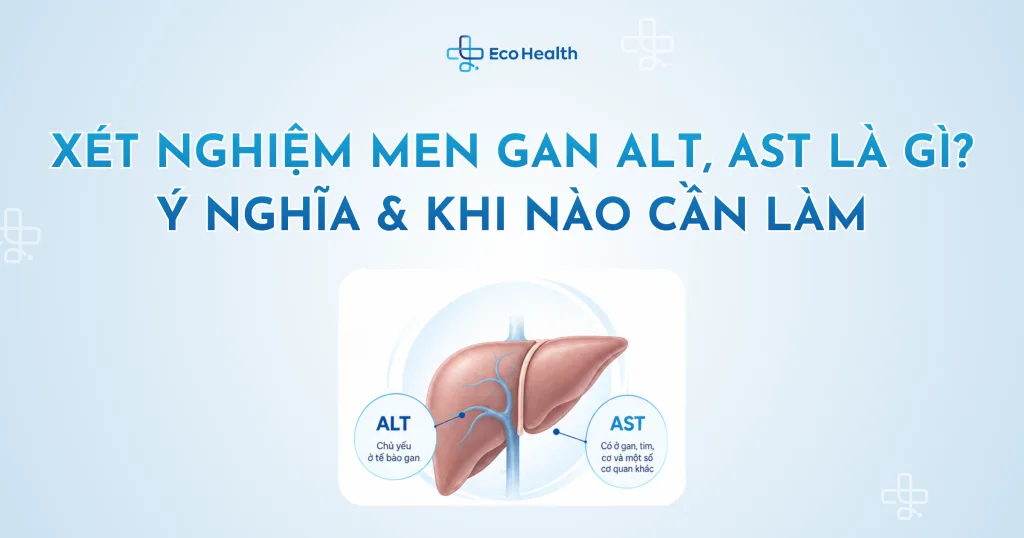 Xét nghiệm men gan ALT, AST là gì? Ý nghĩa & khi nào cần làm