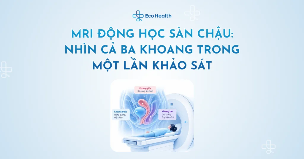 MRI động học sàn chậu: nhìn cả ba khoang trong một lần khảo sát