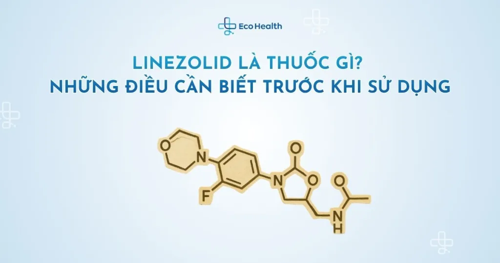 Linezolid là thuốc gì? Những điều cần biết trước khi sử dụng